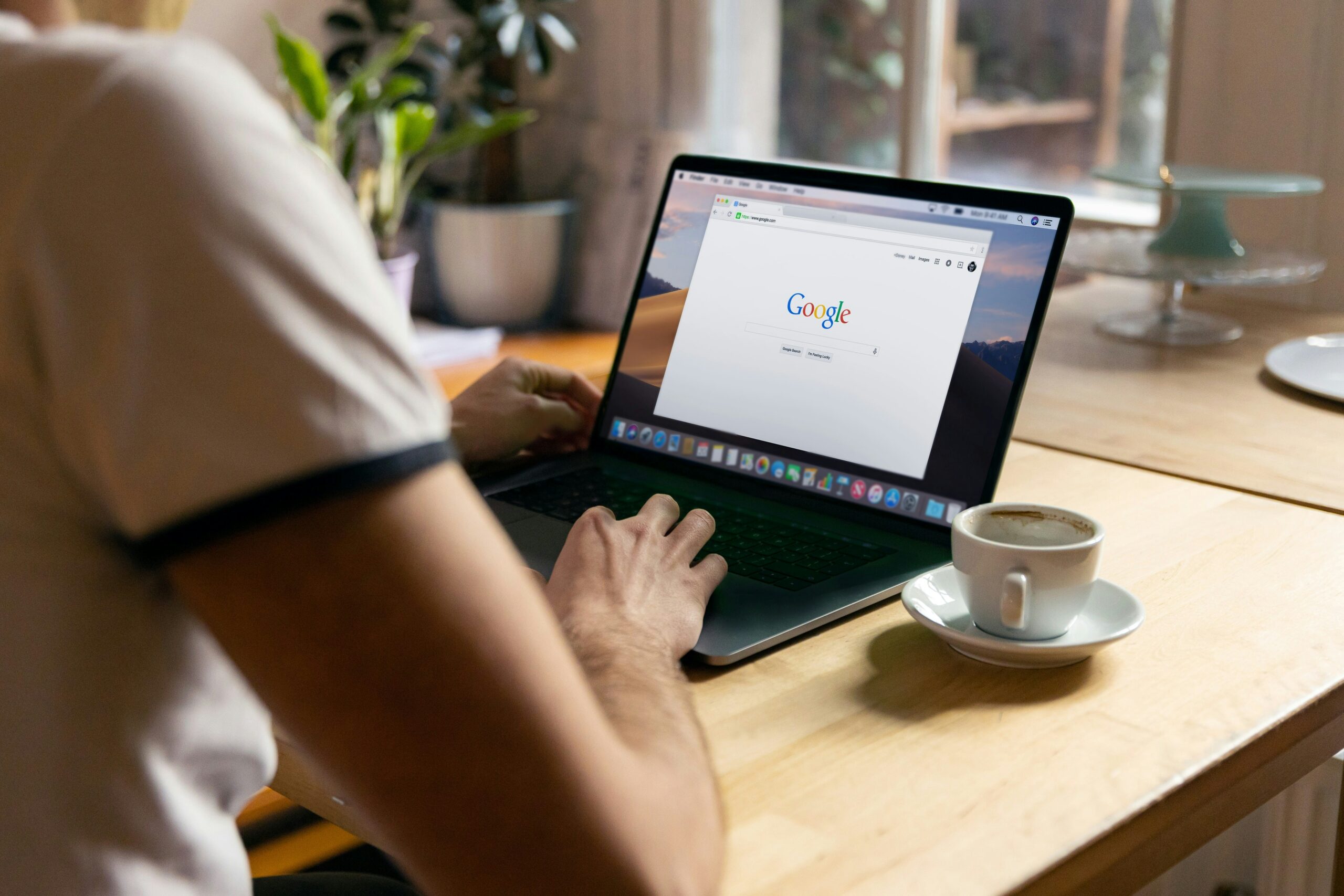 Environmental nonprofit website optimization before campaign launch