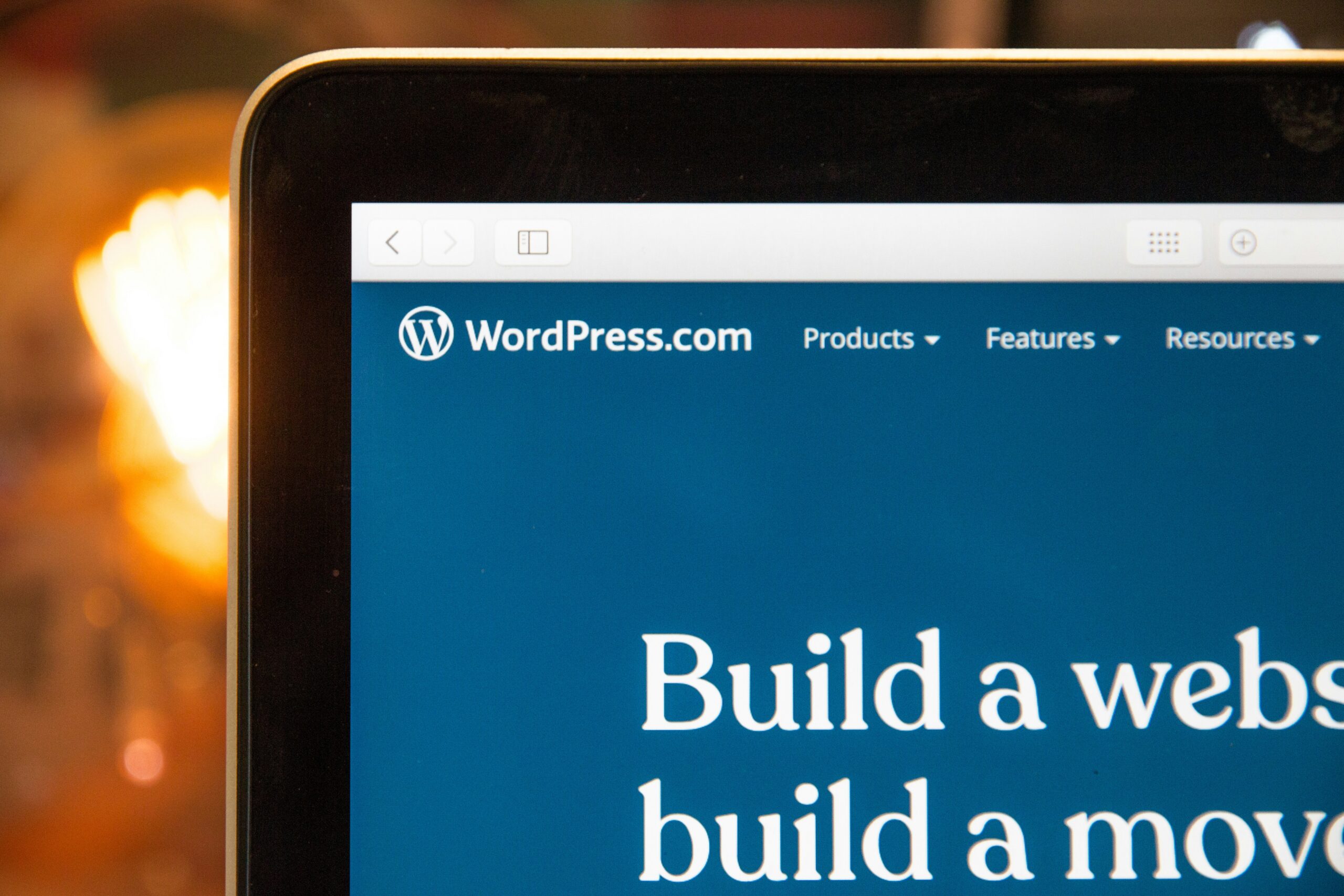 Website audit for a nonprofit WordPress site with performance issues