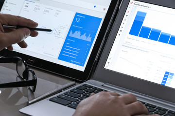Nonprofit SEO specialist reviewing website visibility for a California environmental organization